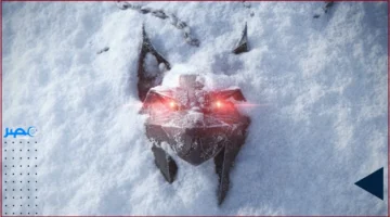 مدارس الويتشر.. مؤلف The Witcher يندم على توسعة مطوري الألعاب لجملة لم يرها ضرورية أبداً